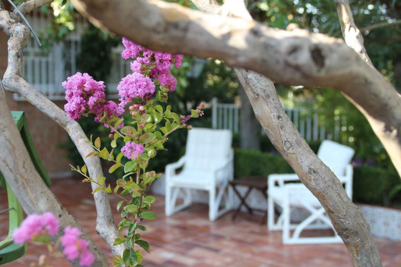 그라나다 El Jardin De La Abuela 빌라 외부 사진