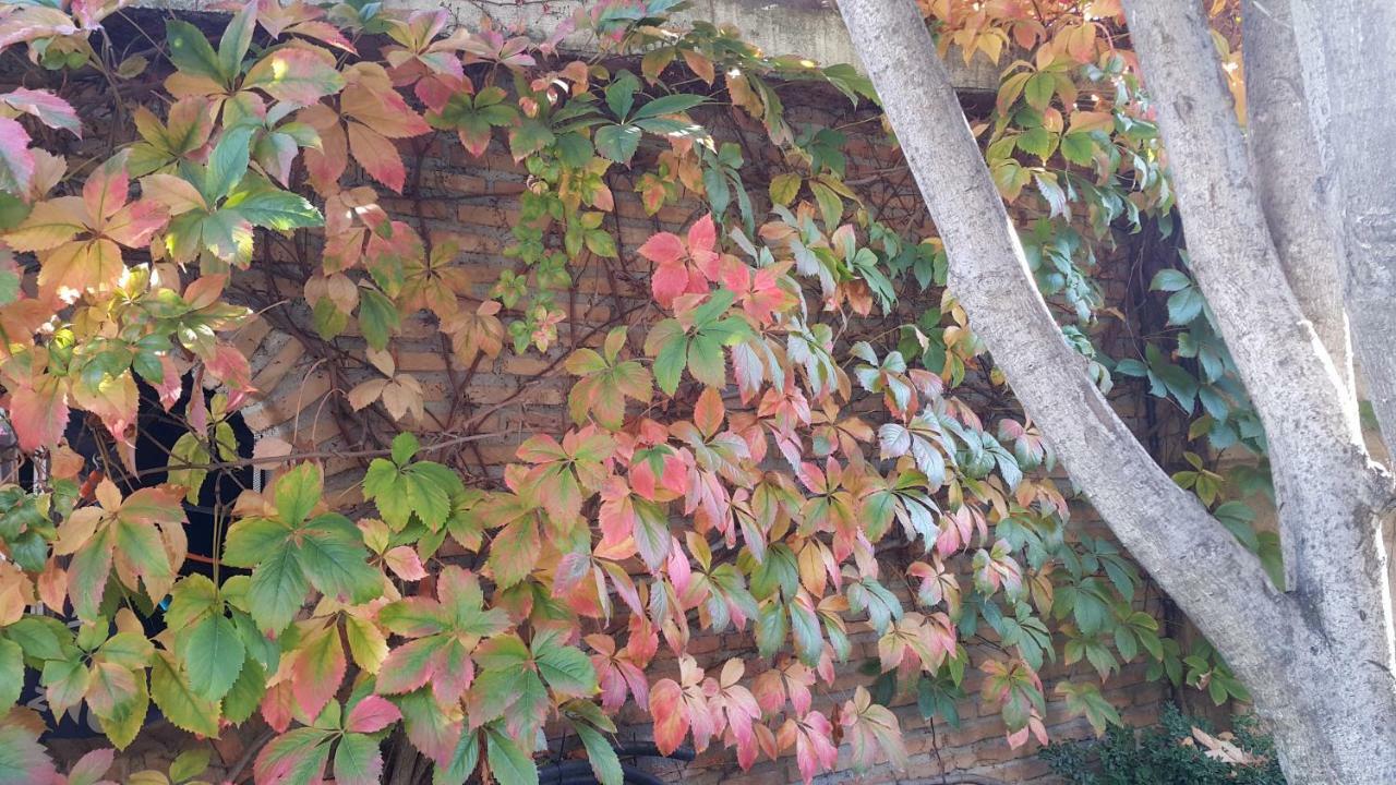그라나다 El Jardin De La Abuela 빌라 외부 사진